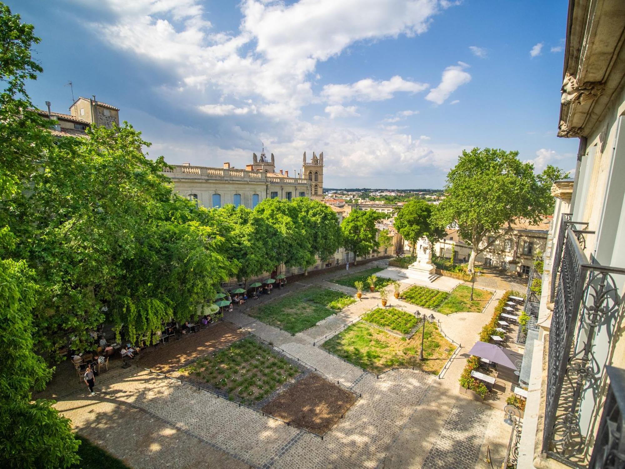 Le Platane De La Canourgue Montpellier Eksteriør billede