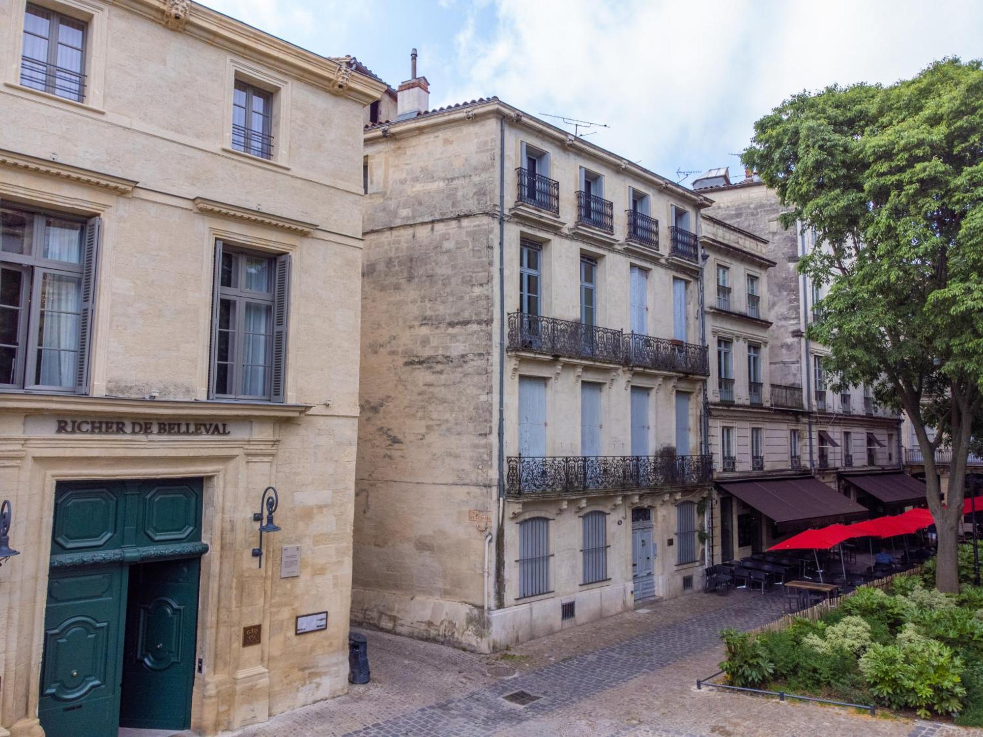 Le Platane De La Canourgue Montpellier Eksteriør billede