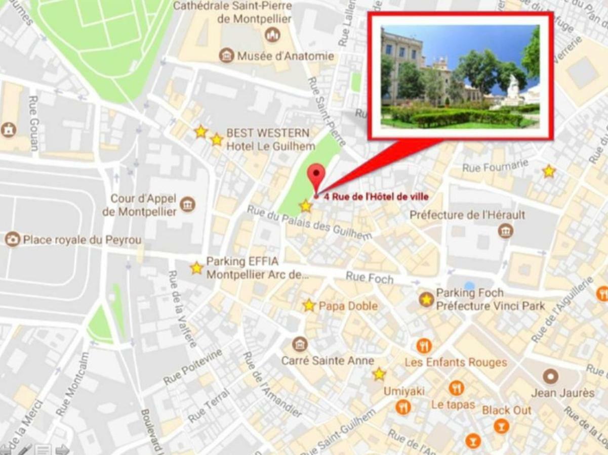 Le Platane De La Canourgue Montpellier Eksteriør billede